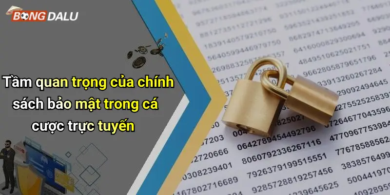 Tầm quan trọng của chính sách bảo mật trong cá cược trực tuyến