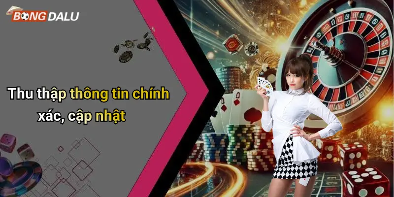 Thu thập thông tin chính xác, cập nhật