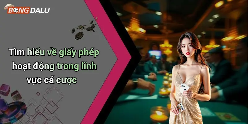 Tìm hiểu về giấy phép hoạt động trong lĩnh vực cá cược