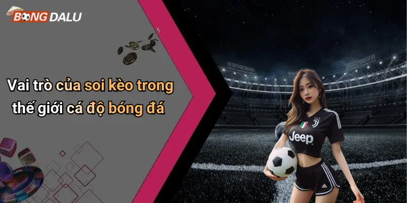 Vai trò của soi kèo trong thế giới cá độ bóng đá