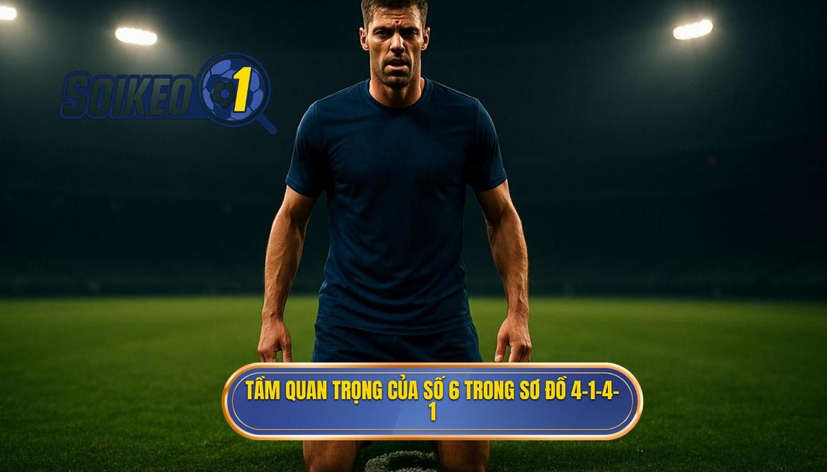 Tầm quan trọng của số 6 đơn độc trong sơ đồ 4-1-4-1