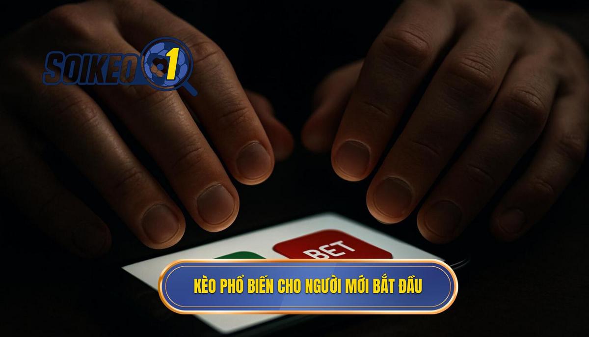 Các loại kèo phổ biến nhất dành cho người mới bắt đầu