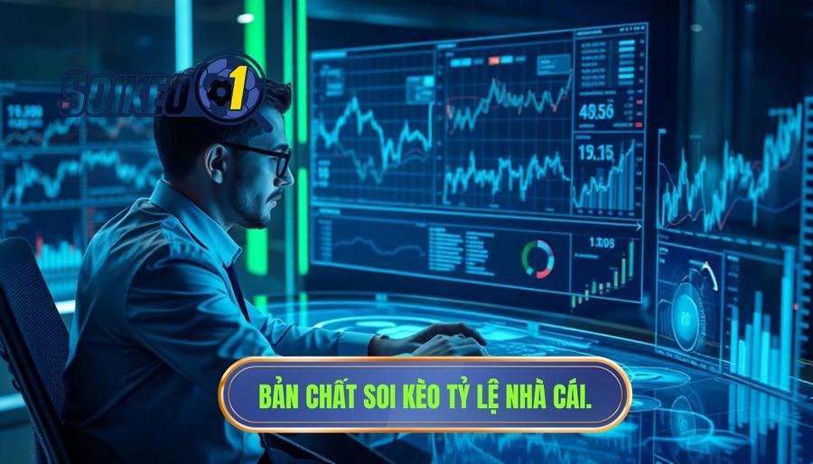 Bản chất soi kèo tỷ lệ nhà cái