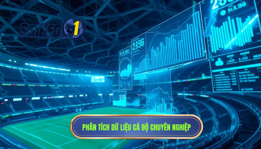 Phân tích dữ liệu: Nền tảng của kinh nghiệm cá độ bóng đá chuyên nghiệp